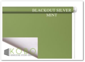 Blackout Silver mint kobo
